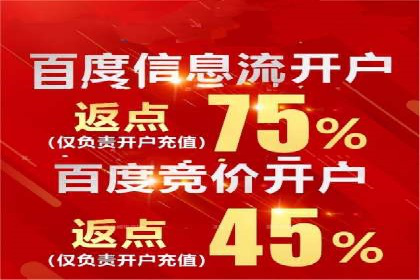 百度优化推广案例：打造高转化率网站